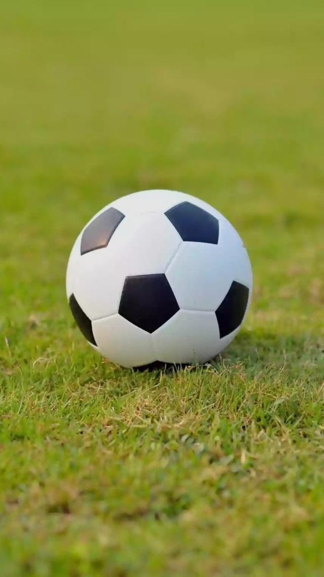 资深彩民分析工具